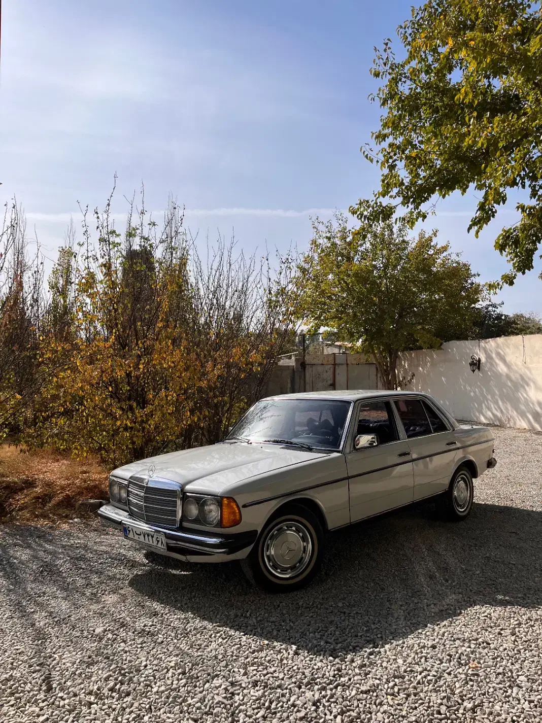 بنز دانشجویی|خودرو کلاسیک|کرج, چمن|دیوار