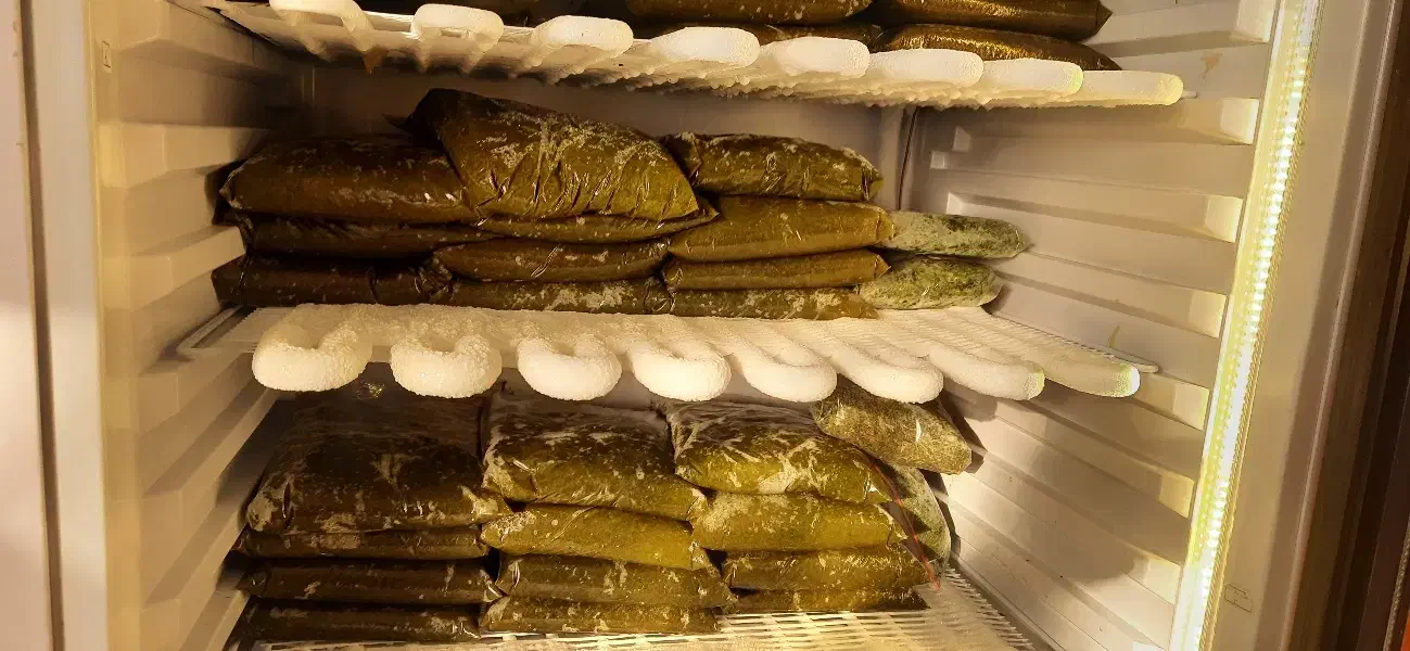 سبزی خورشتی سبزی آش|خوردنی و آشامیدنی|لیکک, |دیوار