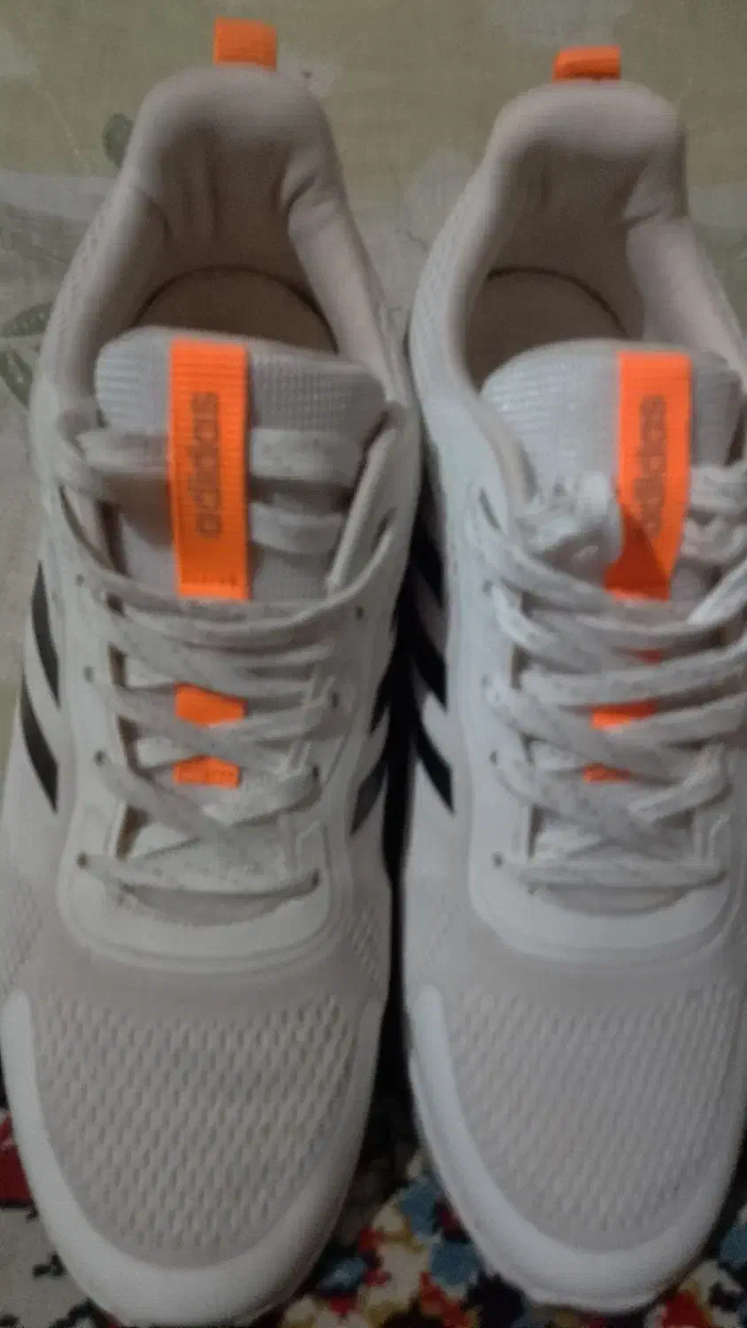 فروش کتونی|کیف، کفش، کمربند|تهران, جوادیه تهرانپارس|دیوار