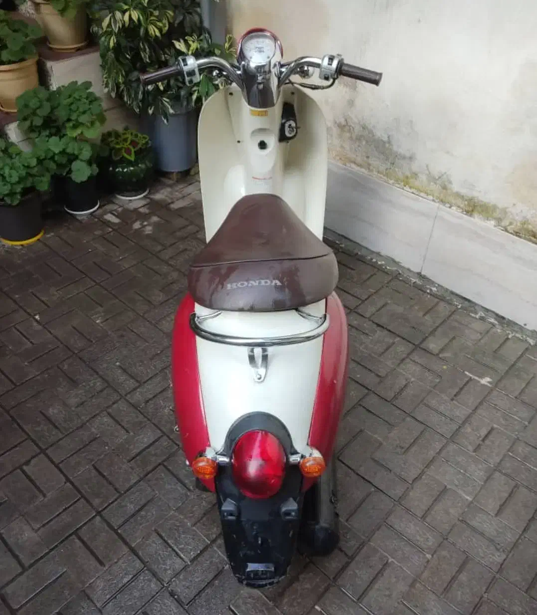 موتور پاکشتی|موتورسیکلت|رشت, کوی بیانی|دیوار