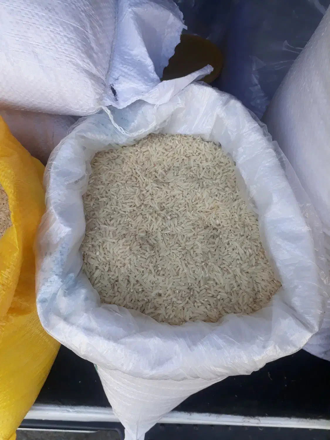 گردوکلات برنج ایرانی طارم وسرلاشه|خوردنی و آشامیدنی|تربت‌حیدریه, کاشانی|دیوار