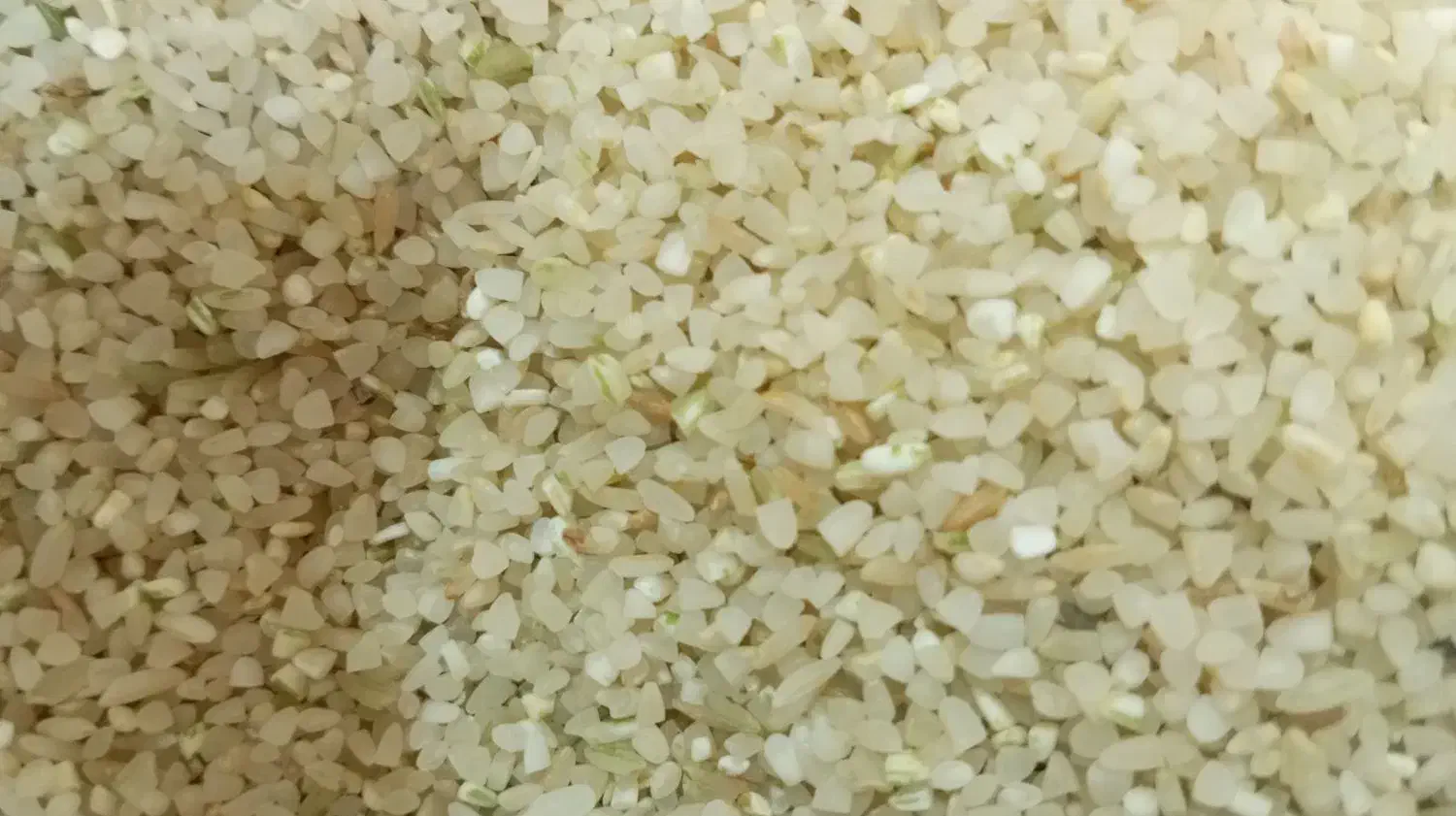 برنج و خورده برنج|خوردنی و آشامیدنی|مرودشت, ابوذر جنوبی|دیوار