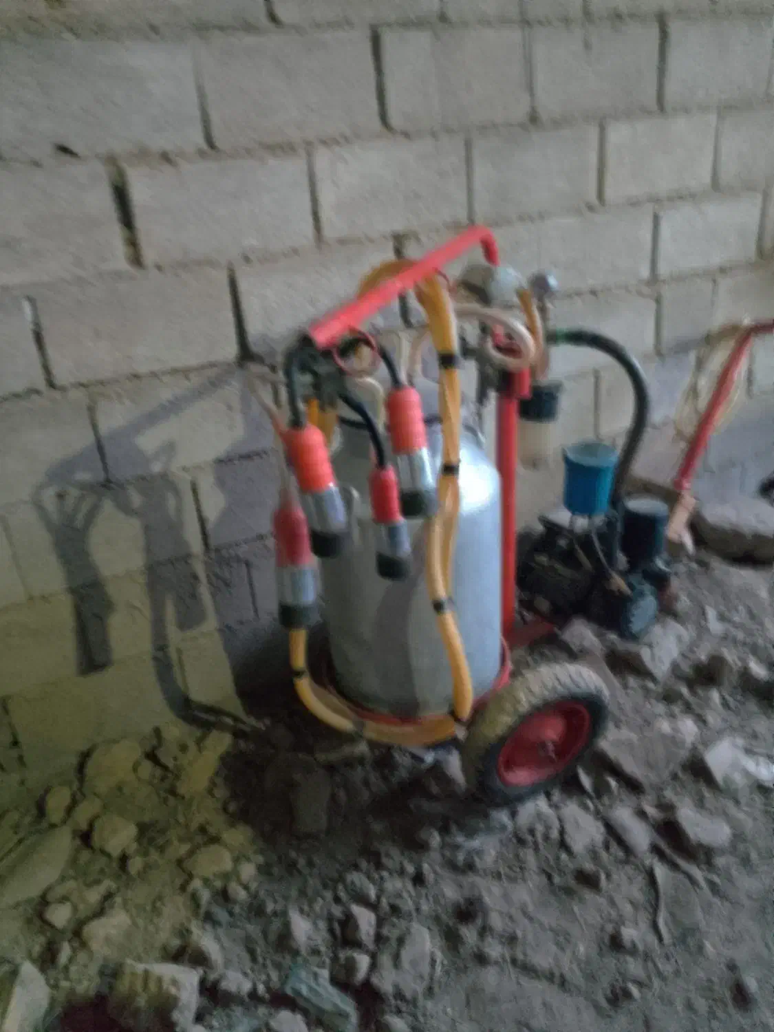 شیر دوش|لوازم جانبی حیوانات|فراغی, |دیوار