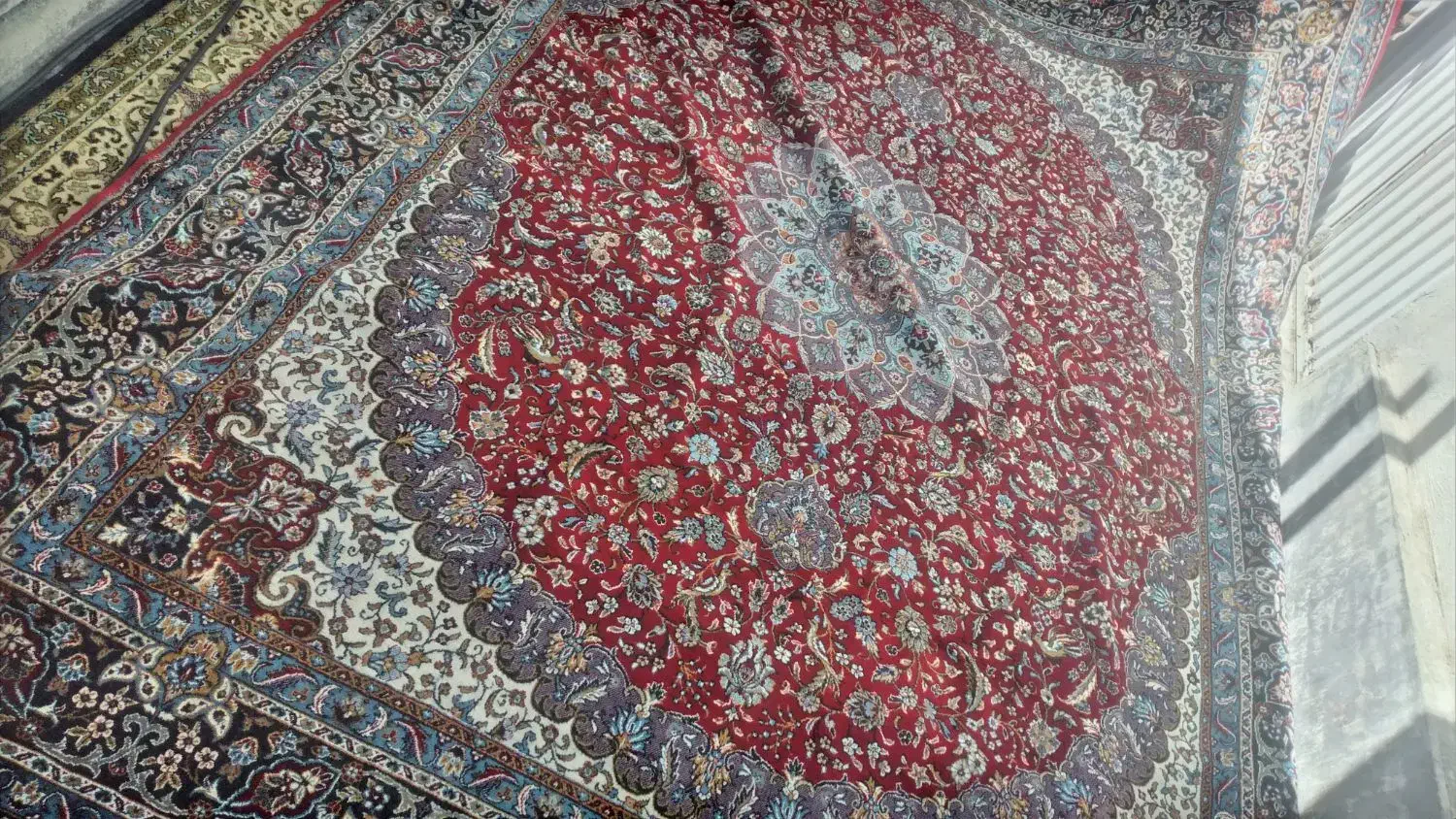 فرش ۱۲ متری|فرش|ارومیه, |دیوار