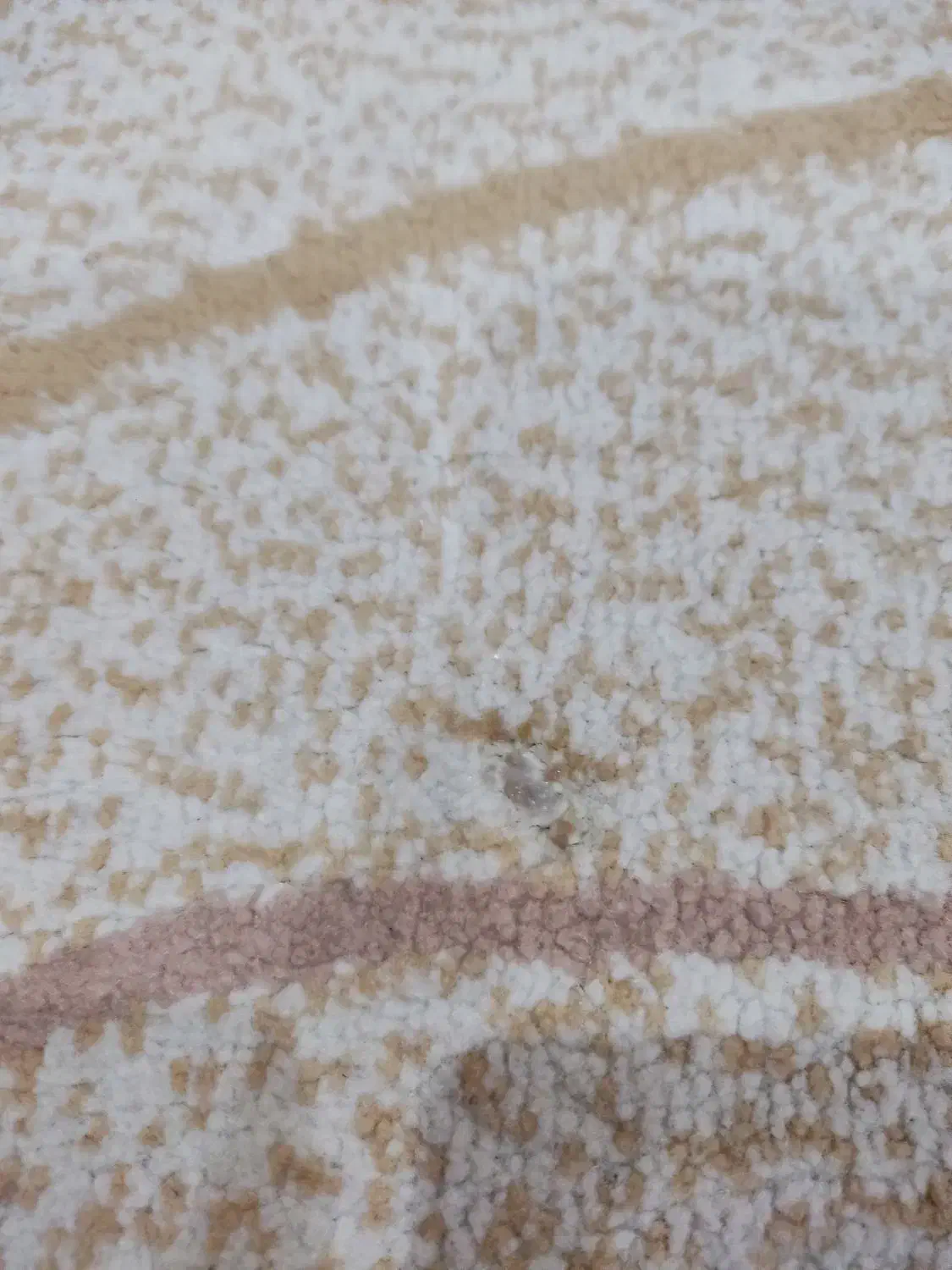 فرش|فرش|آبادان, |دیوار