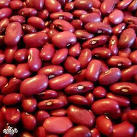 لوبیا قرمز چیتی درمحل نقد|خوردنی و آشامیدنی|سجاس رود, |دیوار