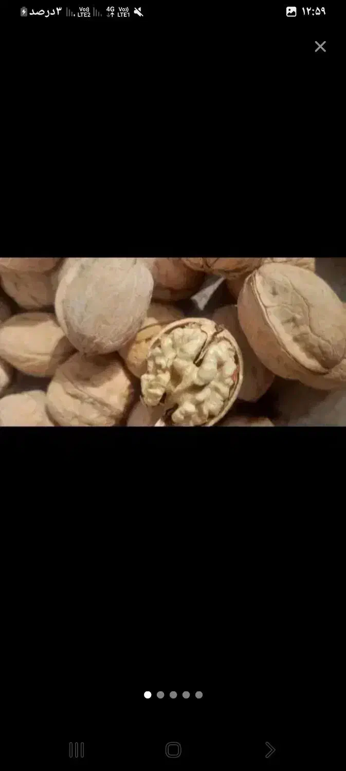 گ ر د و محلی|حراج|مشگین شهر, |دیوار