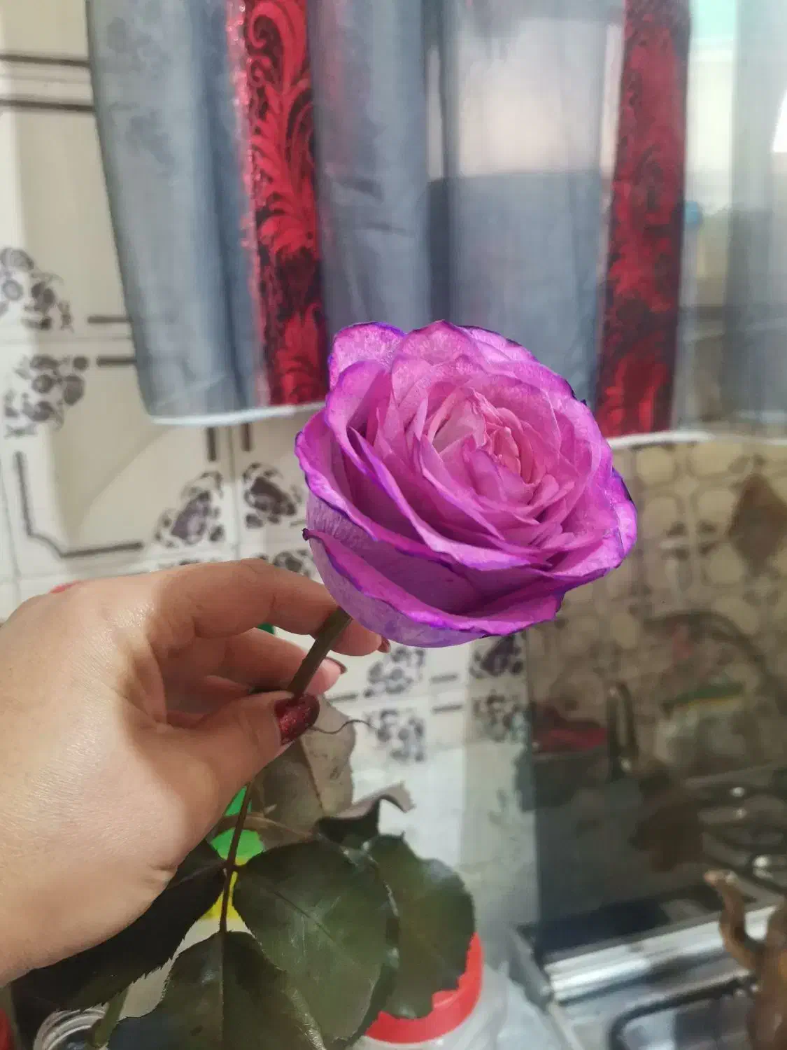 مجری و دیجی مجلس|خدمات پذیرایی، مراسم|سبزوار, شرق کال شمالی|دیوار