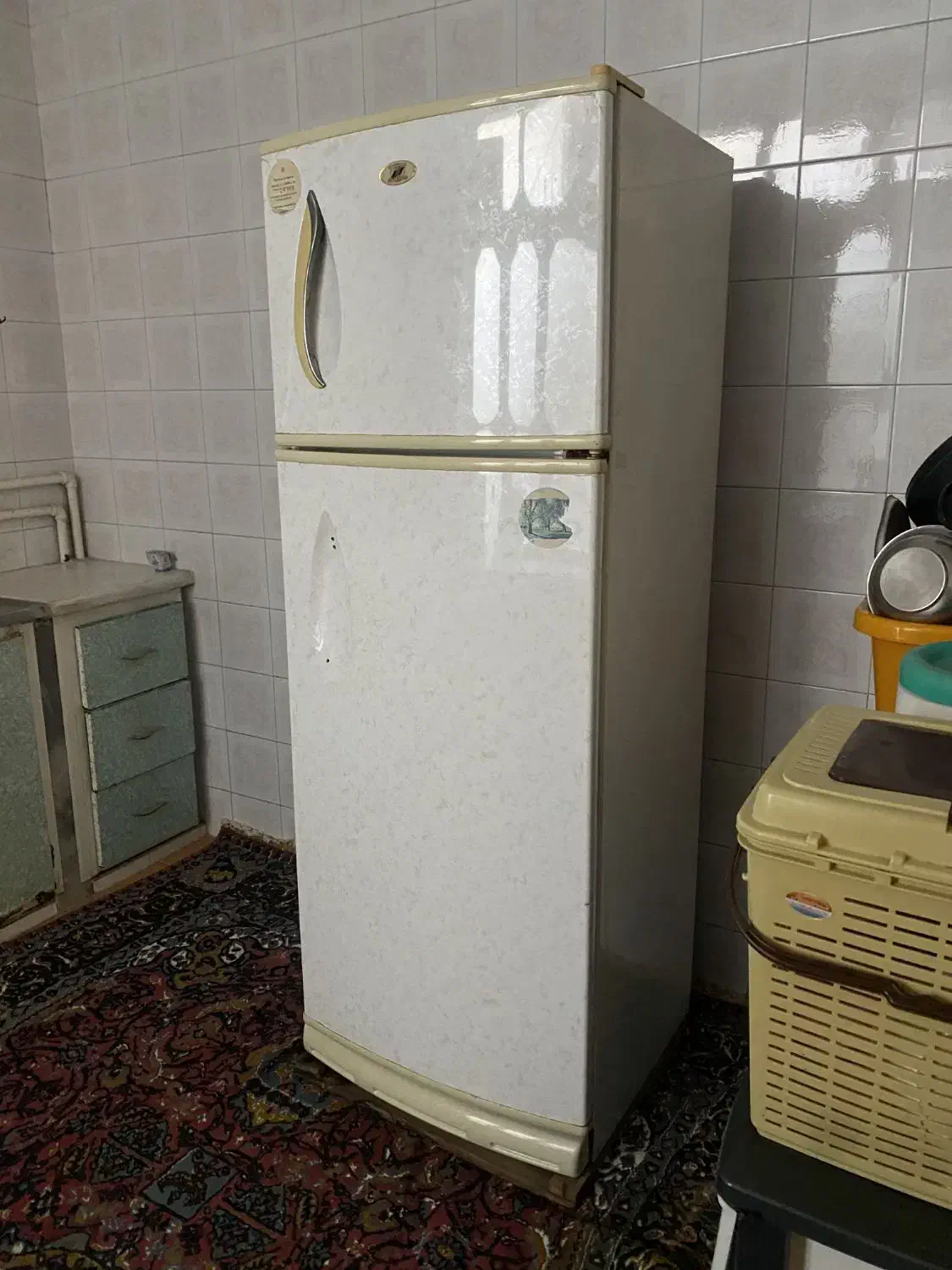 یخچال نوین انجماد|یخچال و فریزر|ساری, |دیوار