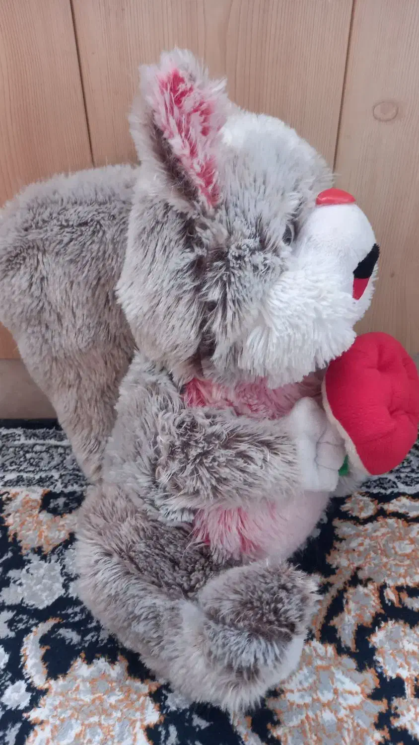 سنجاب پشمی|اسباب‌‌بازی|مشهد, سرافرازان|دیوار