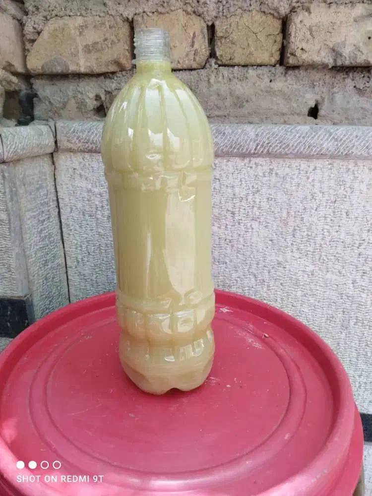 انواع ابلیمو ابغوره عمده|خوردنی و آشامیدنی|شیراز, بازار|دیوار