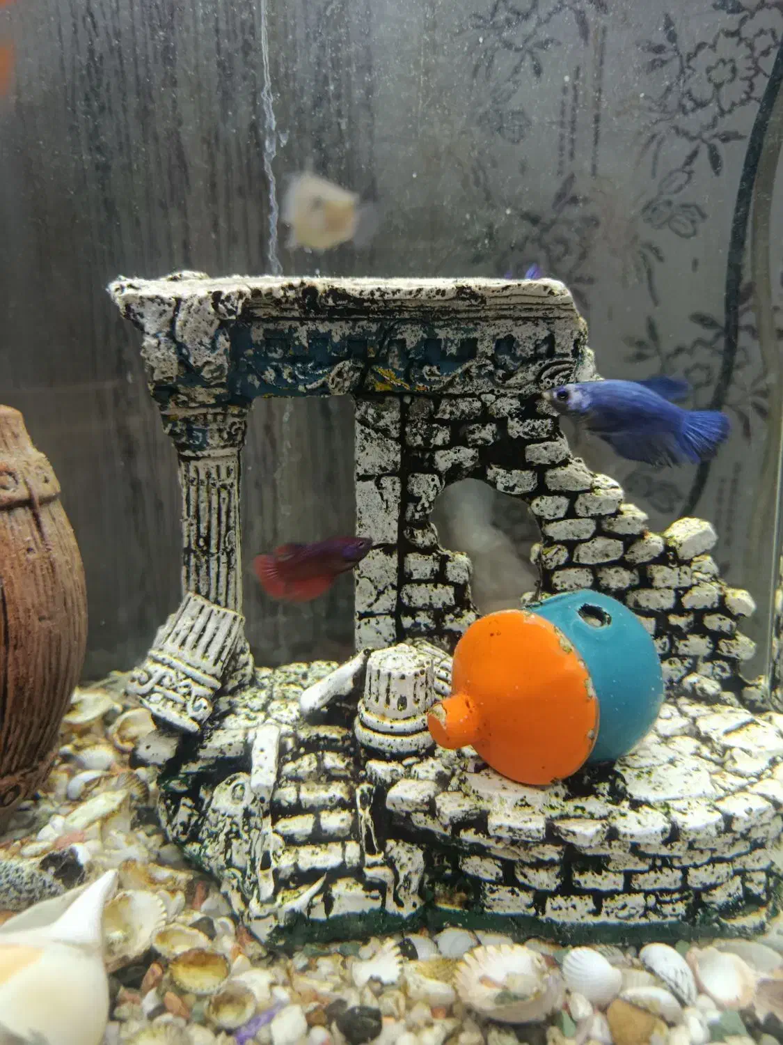 ماهی|ماهی|نظرآباد, مسکن مهر نظرآباد|دیوار