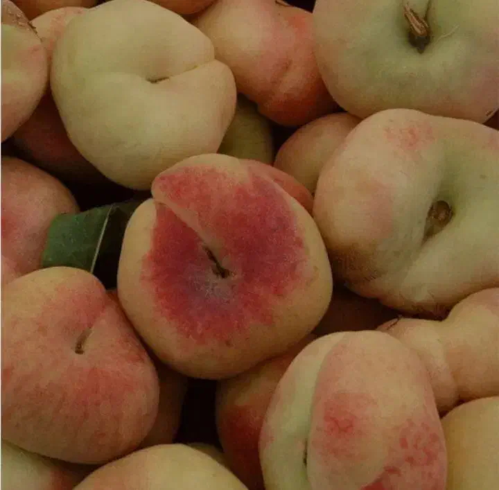 نهال های هلو انجیری و زعفرانی و...|خدمات باغبانی و درختکاری|کوهدشت, |دیوار