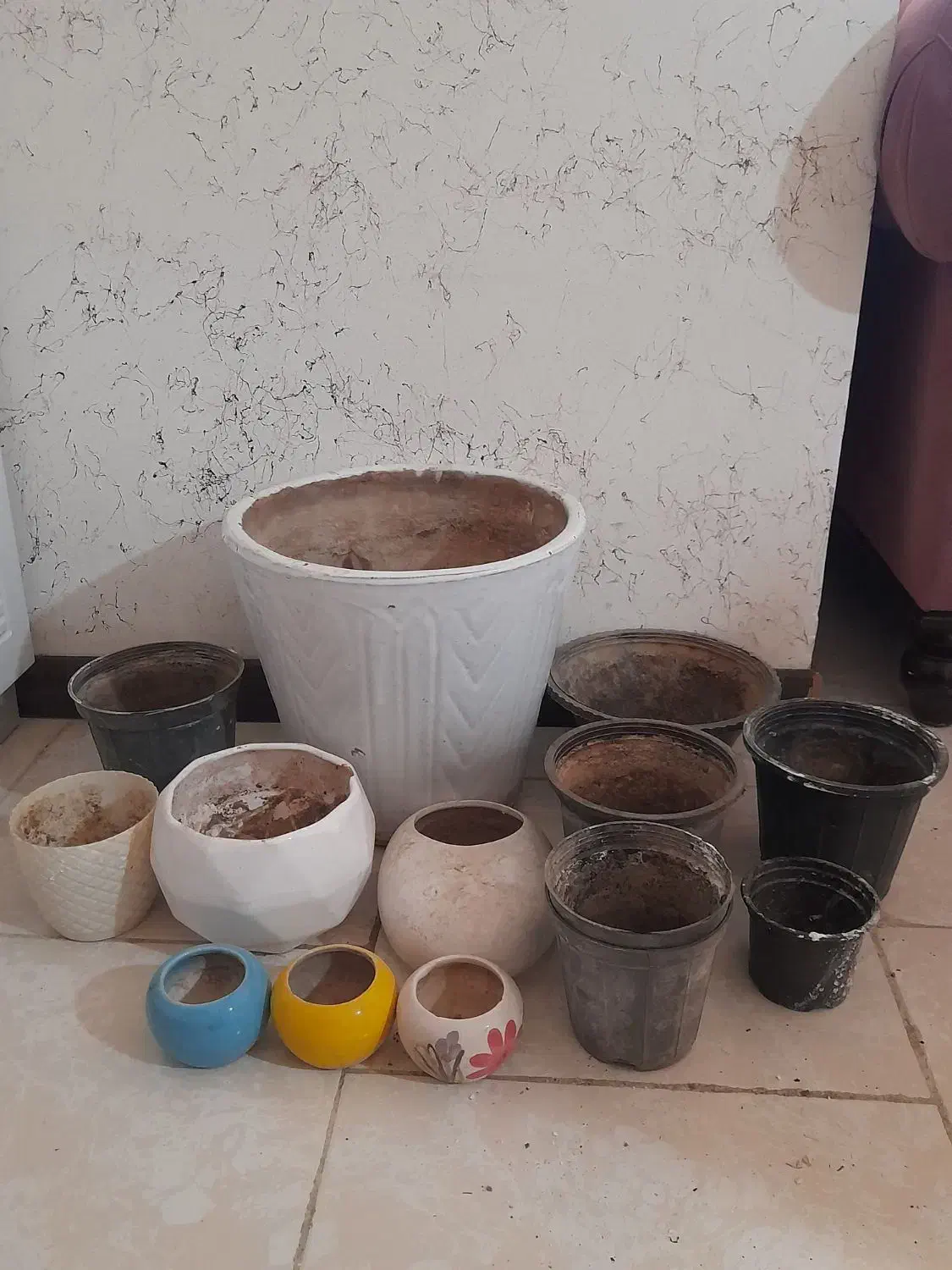 حراج گلدان|گل و گیاه طبیعی|صدرا-فارس, فاز ۲|دیوار