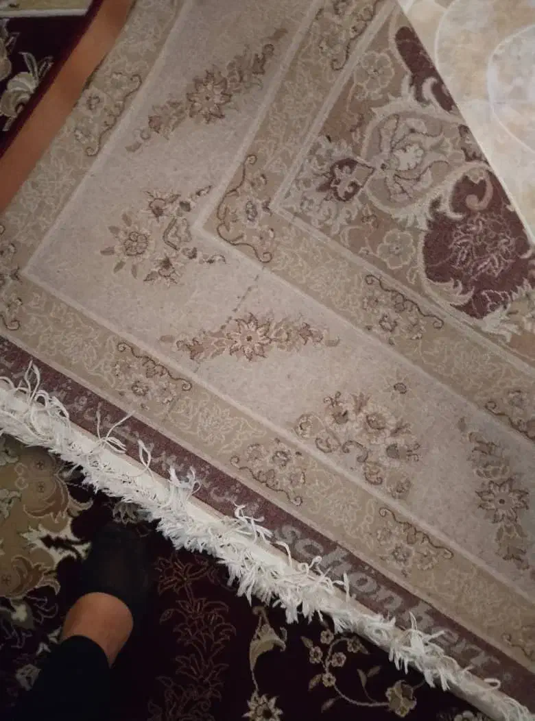 شش عدد فرش شش متری|فرش|کشکسرای, |دیوار