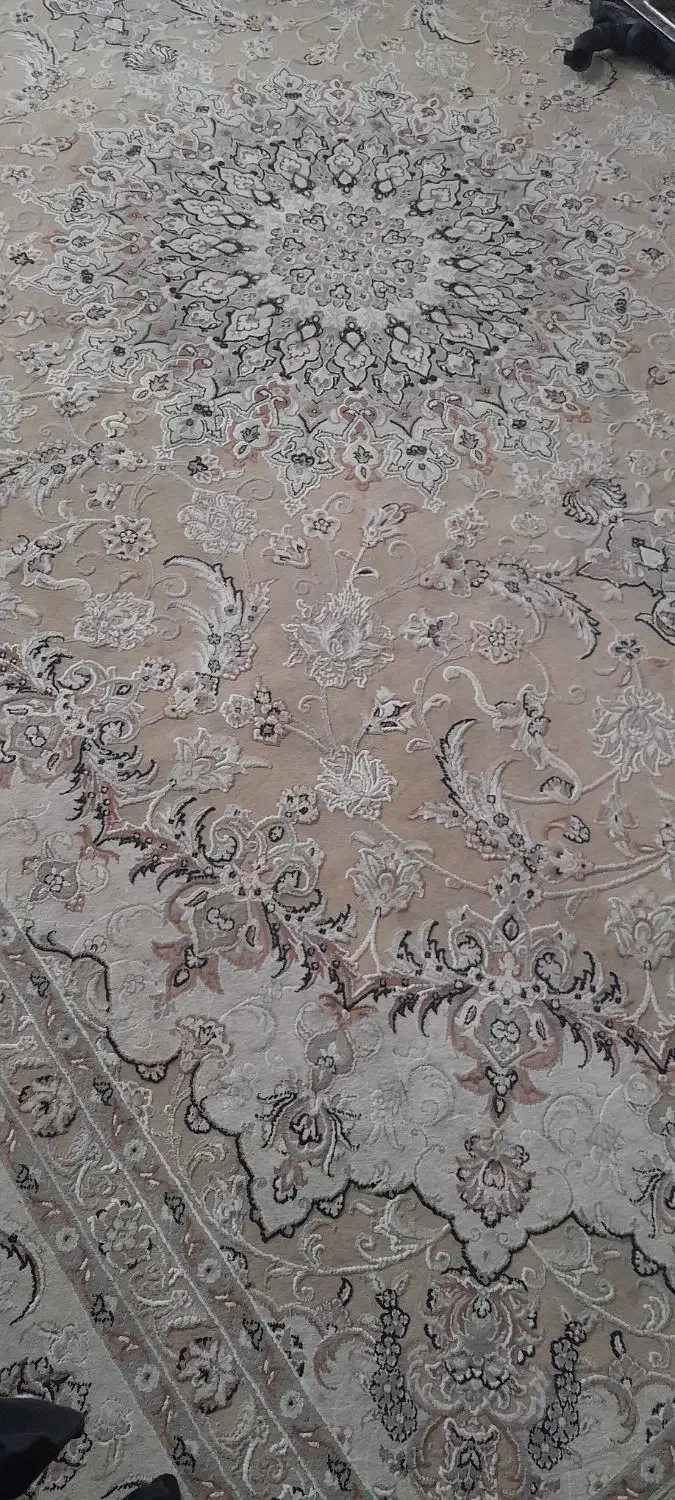 فرش 12 متری|فرش|ساوه, |دیوار