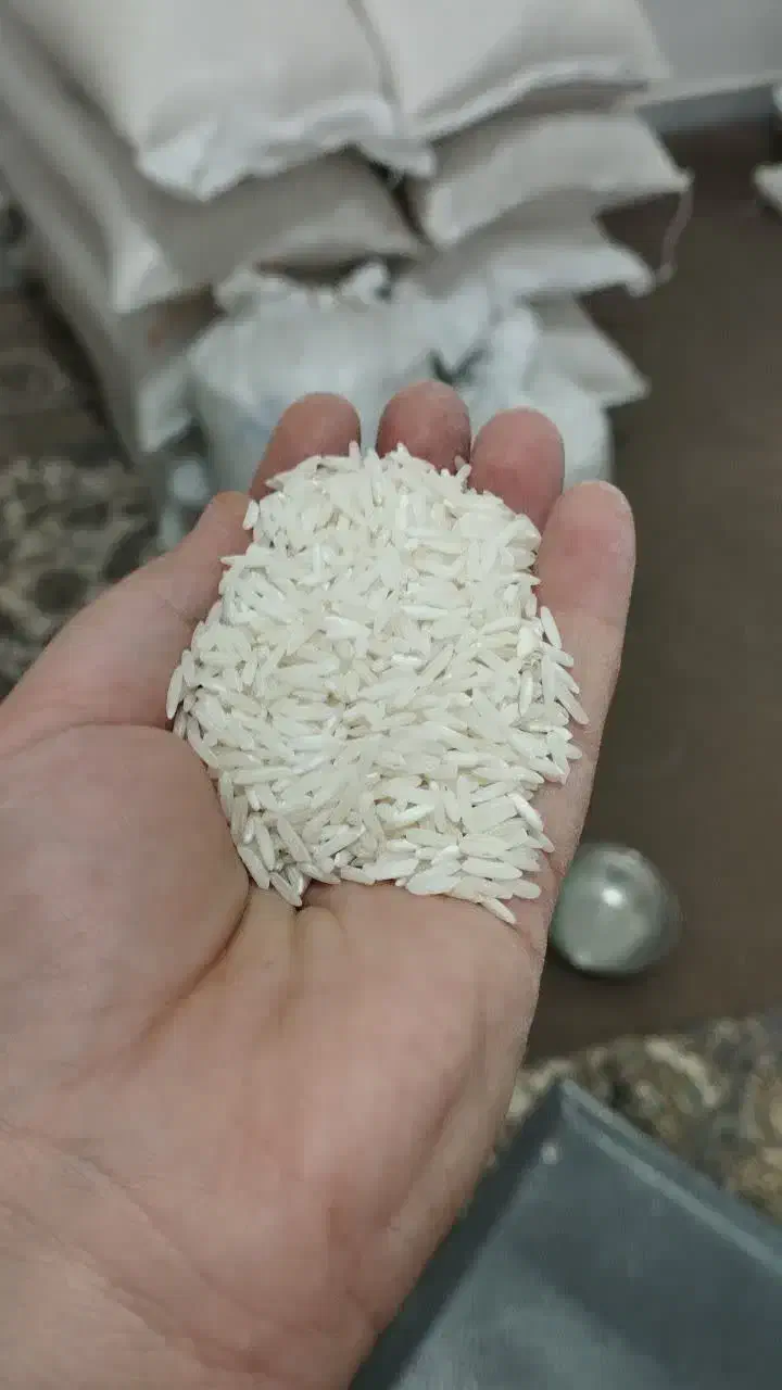 برنج طارم|خوردنی و آشامیدنی|ایوان, |دیوار