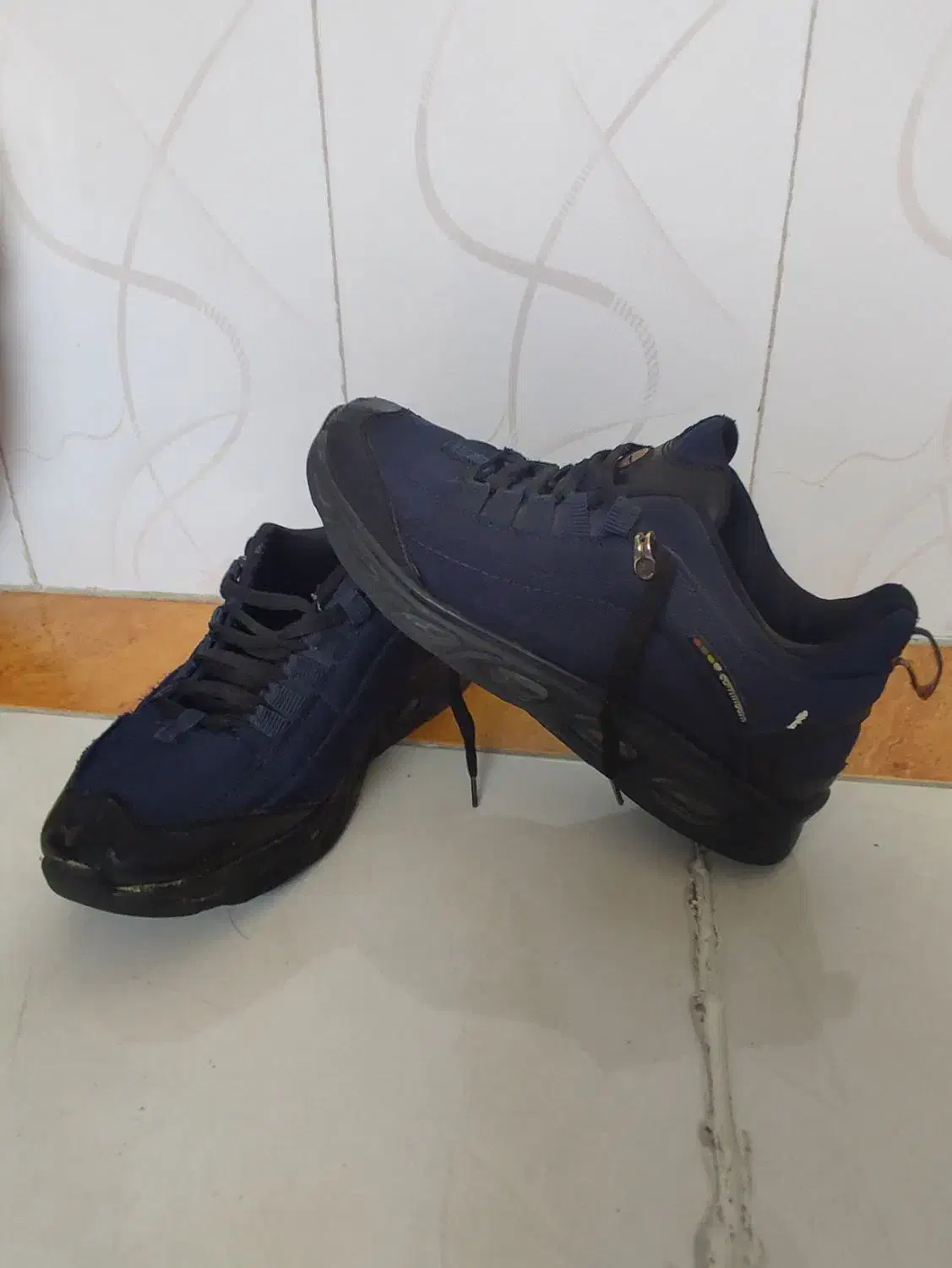 کفش|کیف، کفش، کمربند|زنجان, |دیوار