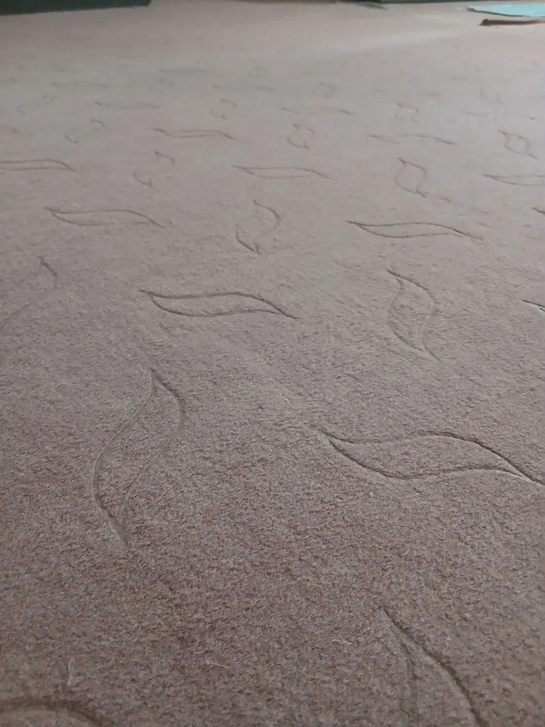 موکت|موکت|الشتر, |دیوار