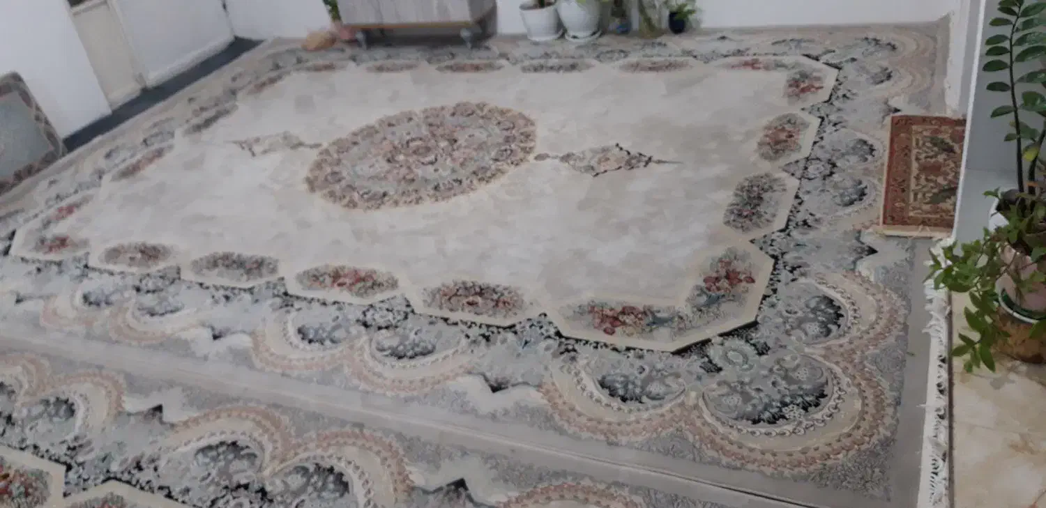 فرش آرا مشهد ۱۲ متری|فرش|آبیک, |دیوار