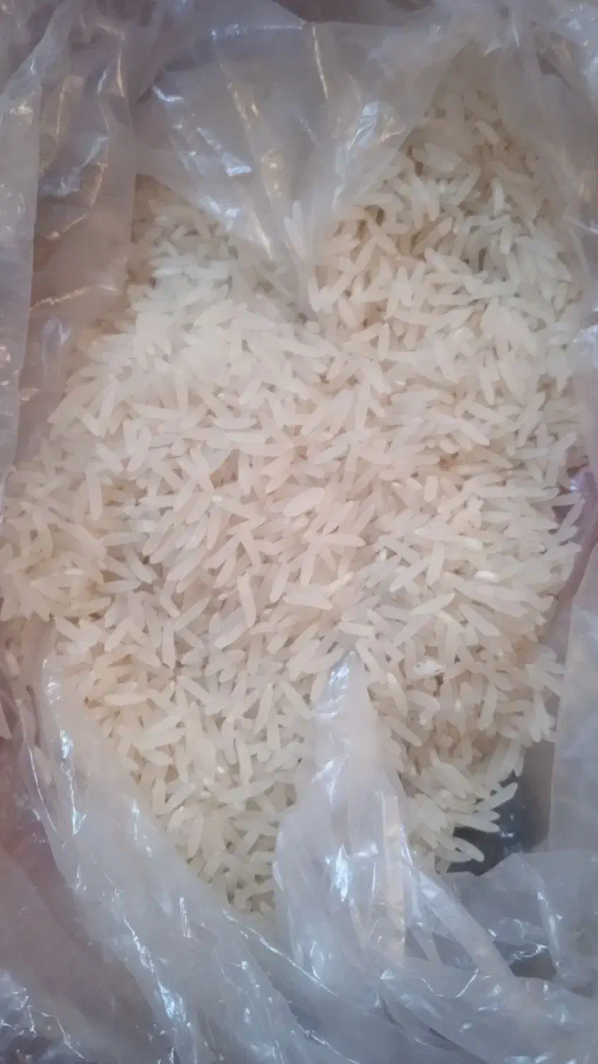 برنج فجر سوزنی اعلا|خوردنی و آشامیدنی|آق قلا, |دیوار