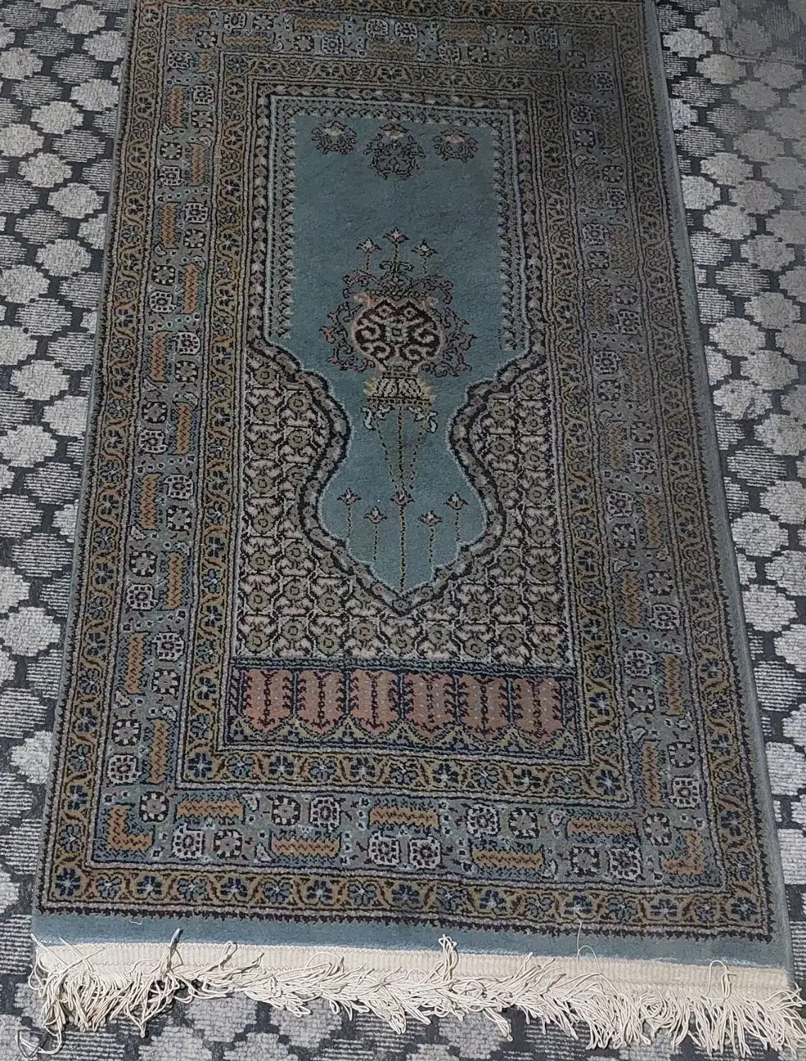 فرش|فرش|تهران, استخر|دیوار