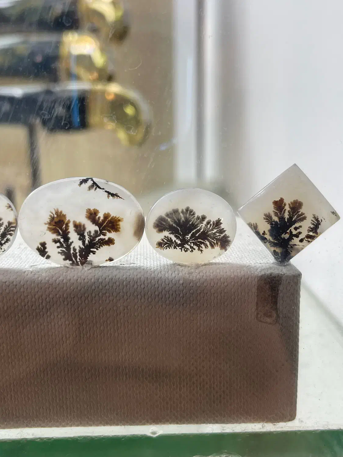 بارخونه شجر قائن|جواهرات|زنجان, |دیوار