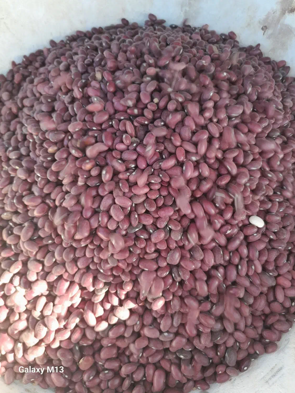 راهنمایی نخودولوبیا|فعالیت داوطلبانه|گل تپه, |دیوار