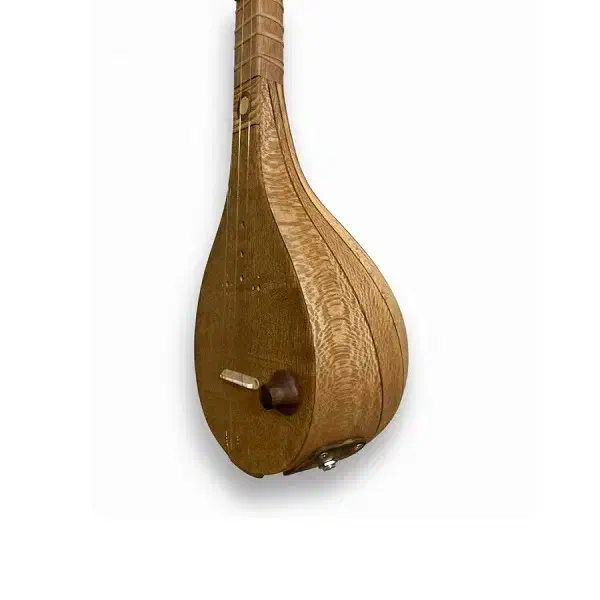 سه تار ویژه هامون مدل الکترو آکوستیک|سازهای سنتی|تهران, جمهوری|دیوار