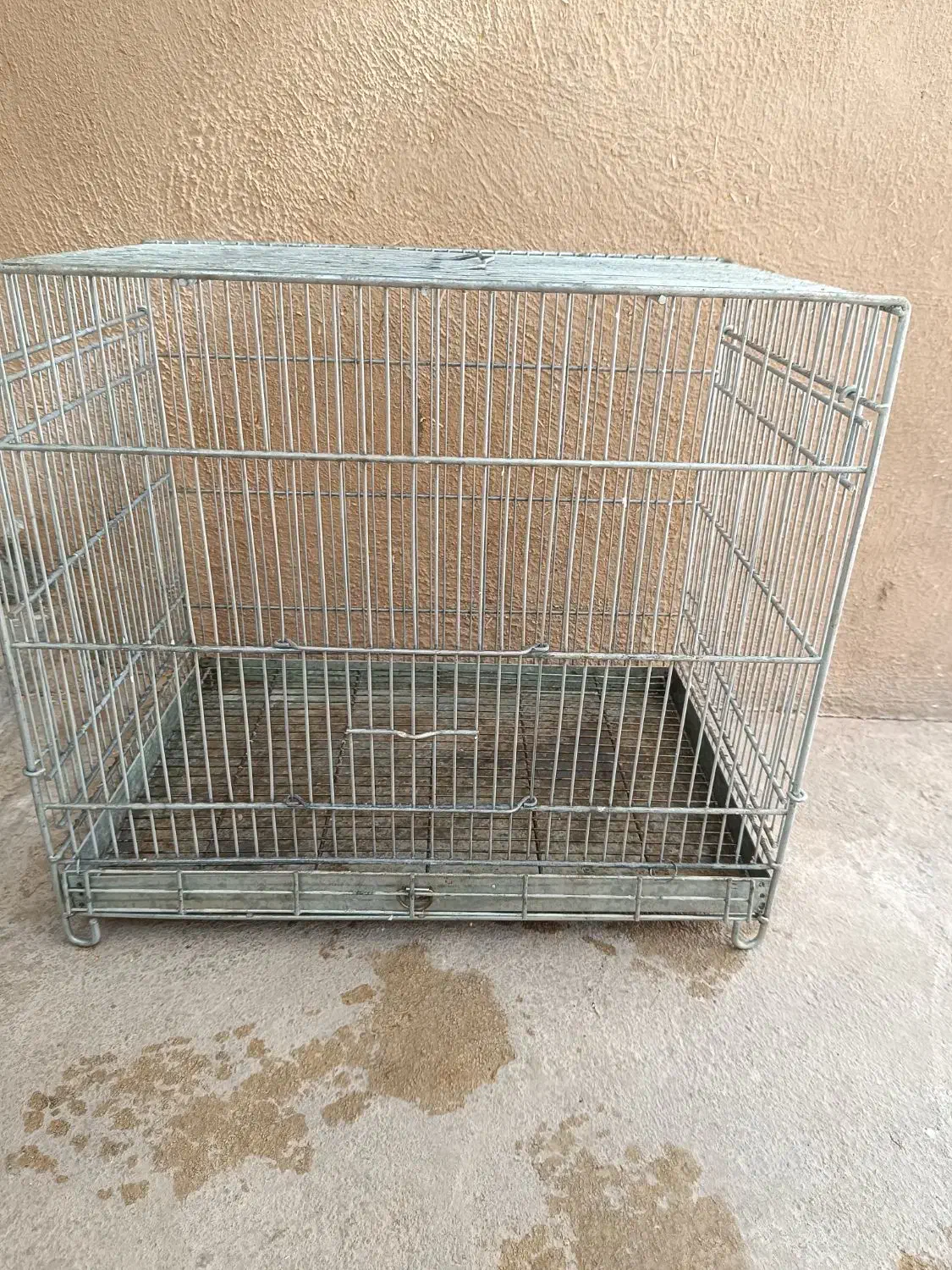 قفس غلامی|پرنده|شیراز, میرزاکوچک خان|دیوار