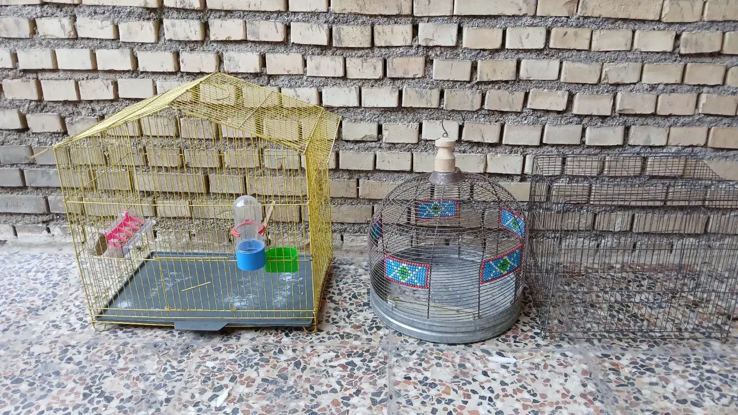 ۳ عدد قفس پرنده|لوازم جانبی حیوانات|گتوند, |دیوار