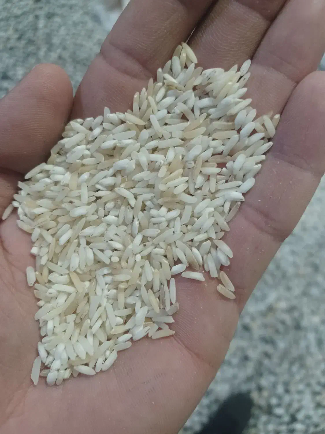 برنج هاشمی اقتصادی|خوردنی و آشامیدنی|جویبار, |دیوار