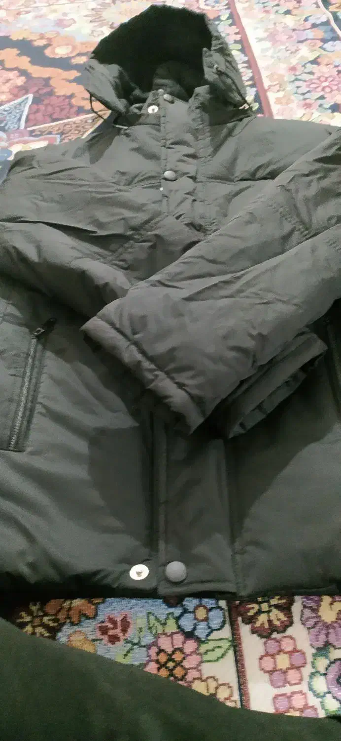 کاپشن|لباس|شادگان, |دیوار