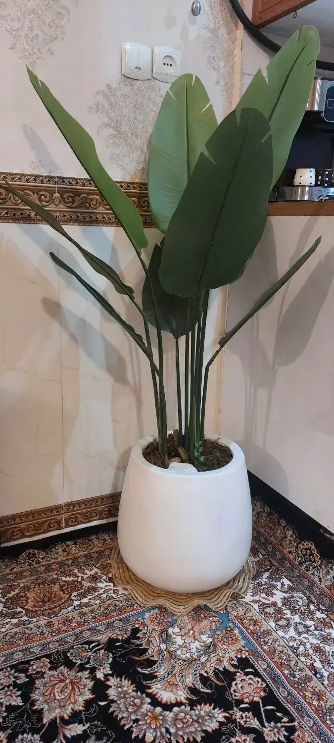 گل مصنوعی|گل مصنوعی|کرمانشاه, |دیوار