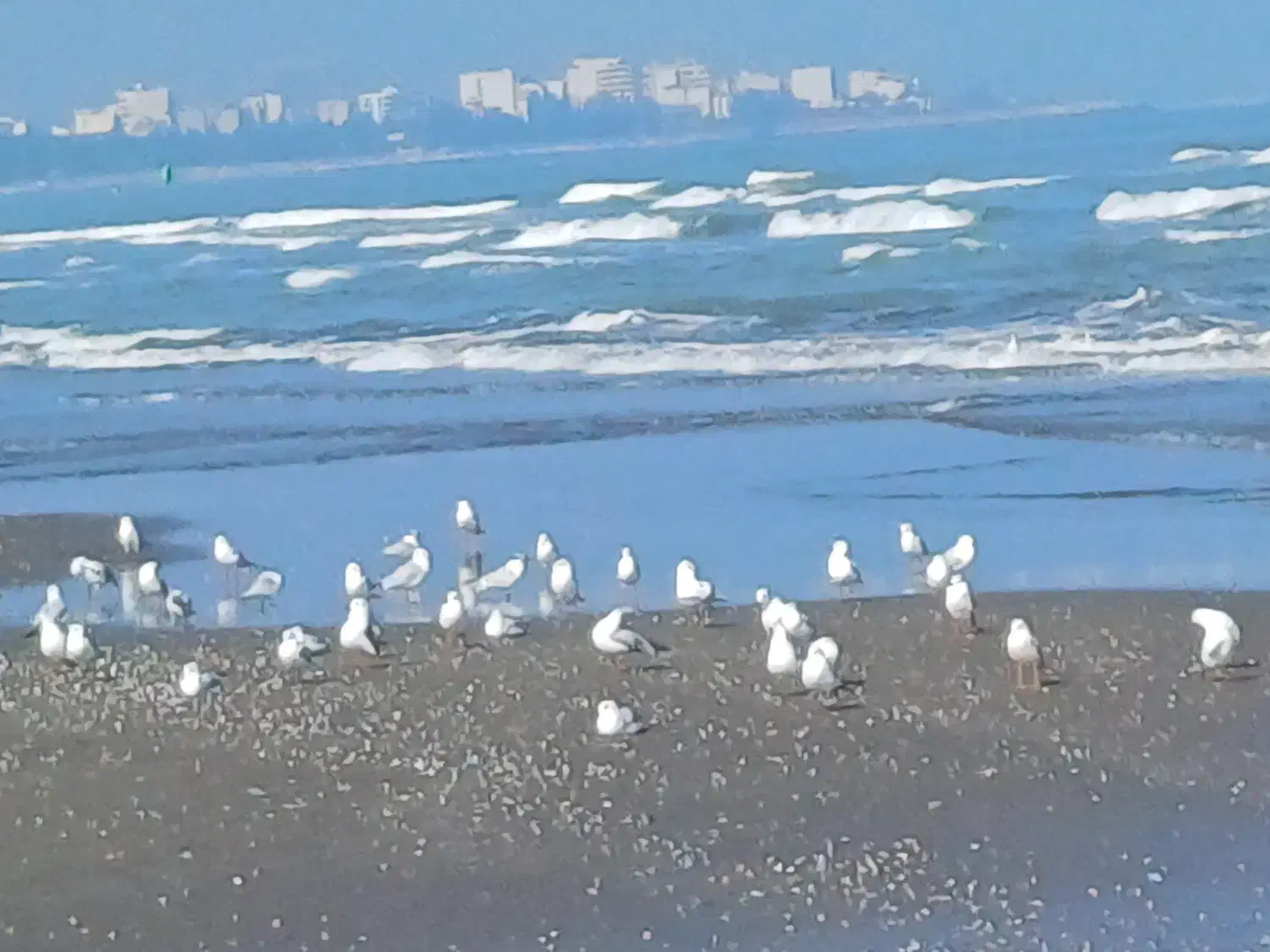 رهن و اجاره ویلا اپارتمان دو خوابه طبقه همکف|اجارهٔ آپارتمان|کتالم و سادات شهر, |دیوار