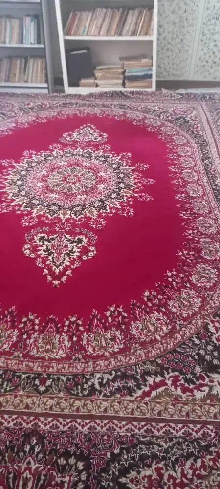 فرش تمیز و نو|فرش|زابل, |دیوار