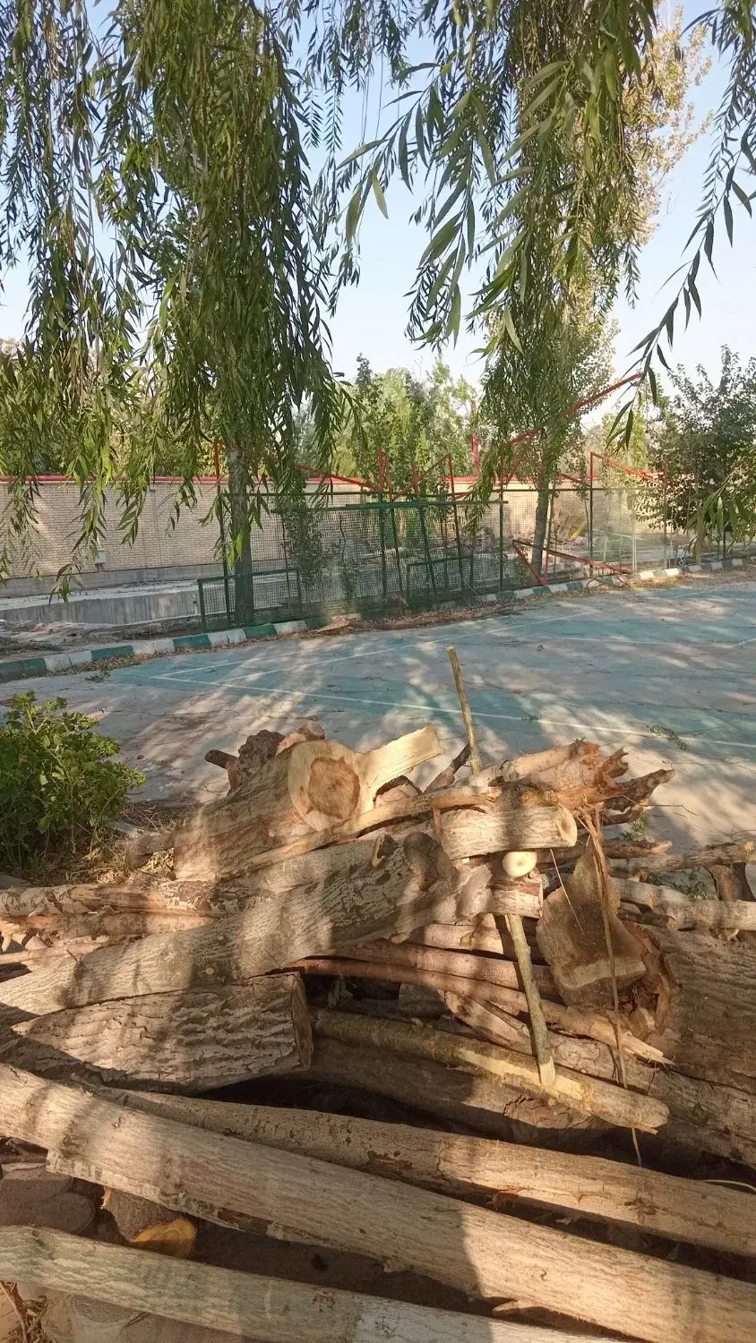 خرید و هرس درخت|خدمات باغبانی و درختکاری|تبریز, |دیوار