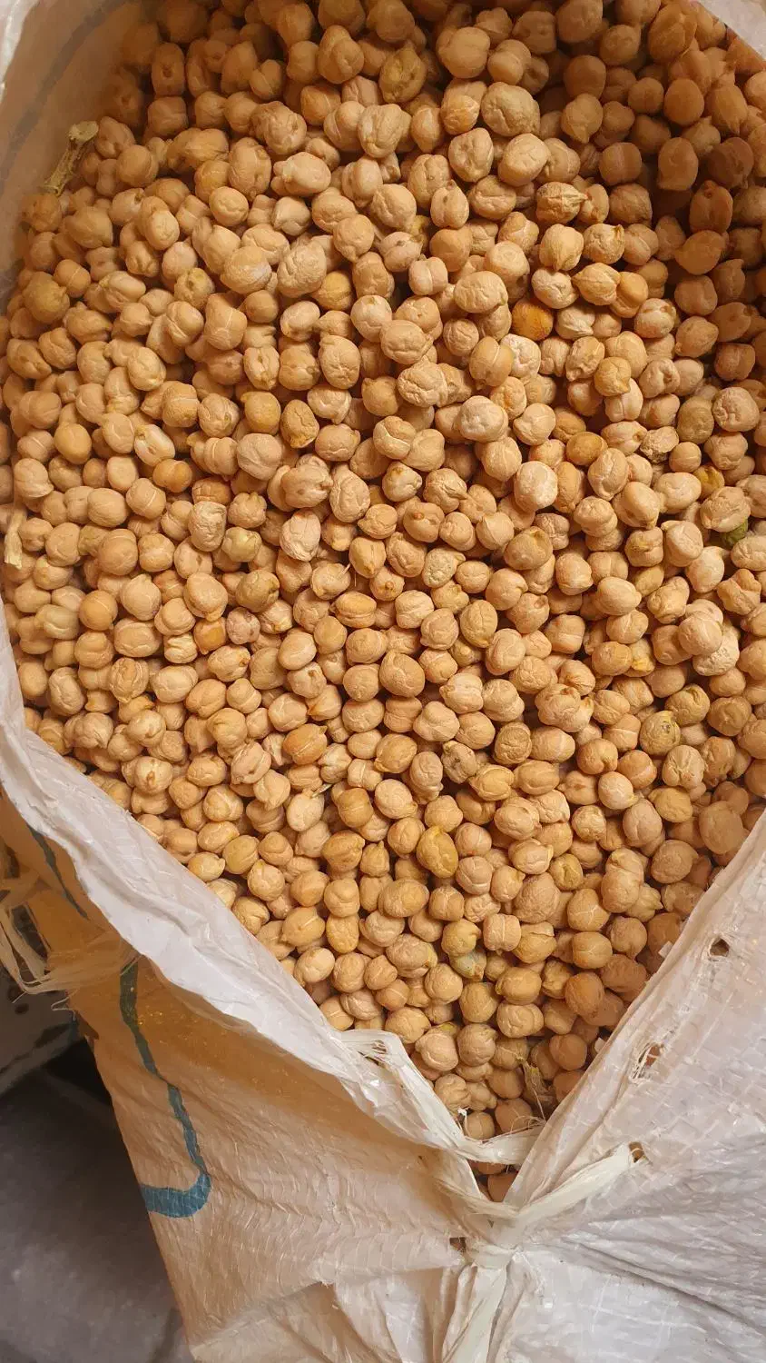نخود|خوردنی و آشامیدنی|اهر, |دیوار