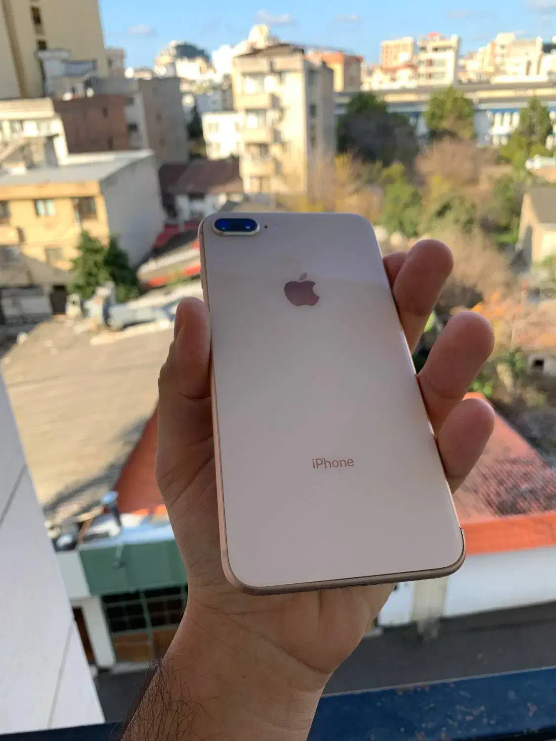 ایفون 8 پلاس 64 گیگ|موبایل|ساری, |دیوار