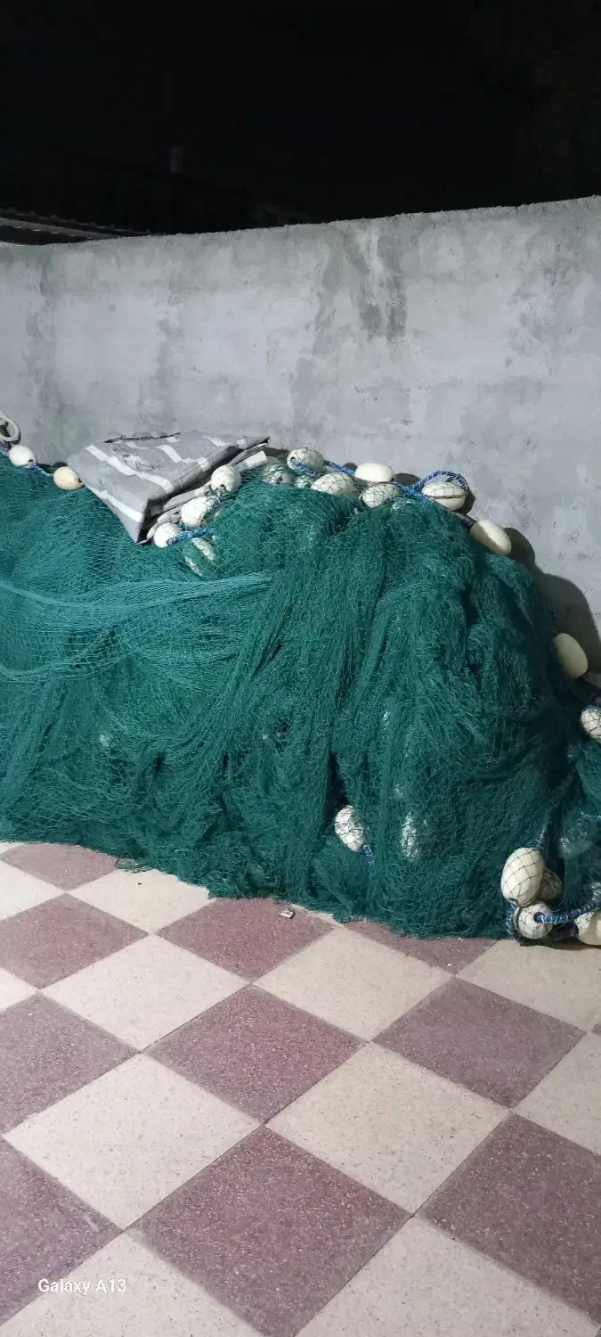 لیح پیاله ای یا محاصره|ماهیگیری|بندرعباس, |دیوار