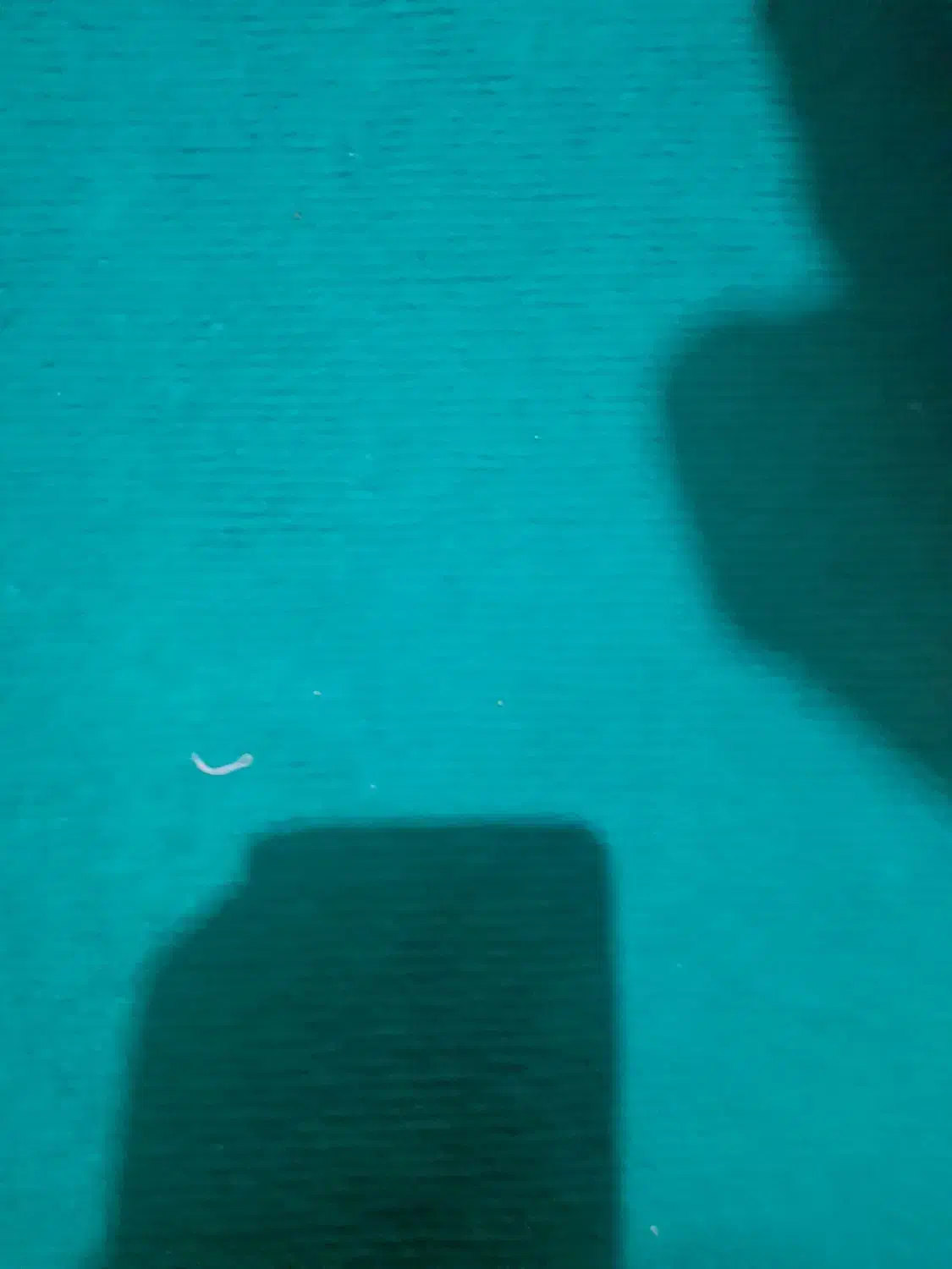 موکت|موکت|همدان, |دیوار