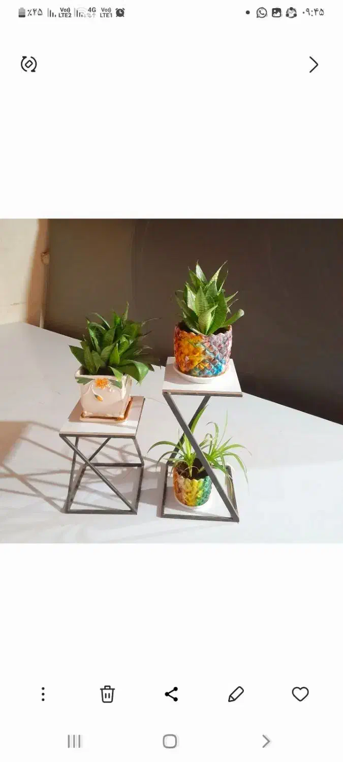 حراج استند گل|گل و گیاه طبیعی|شیراز, نصرآباد|دیوار