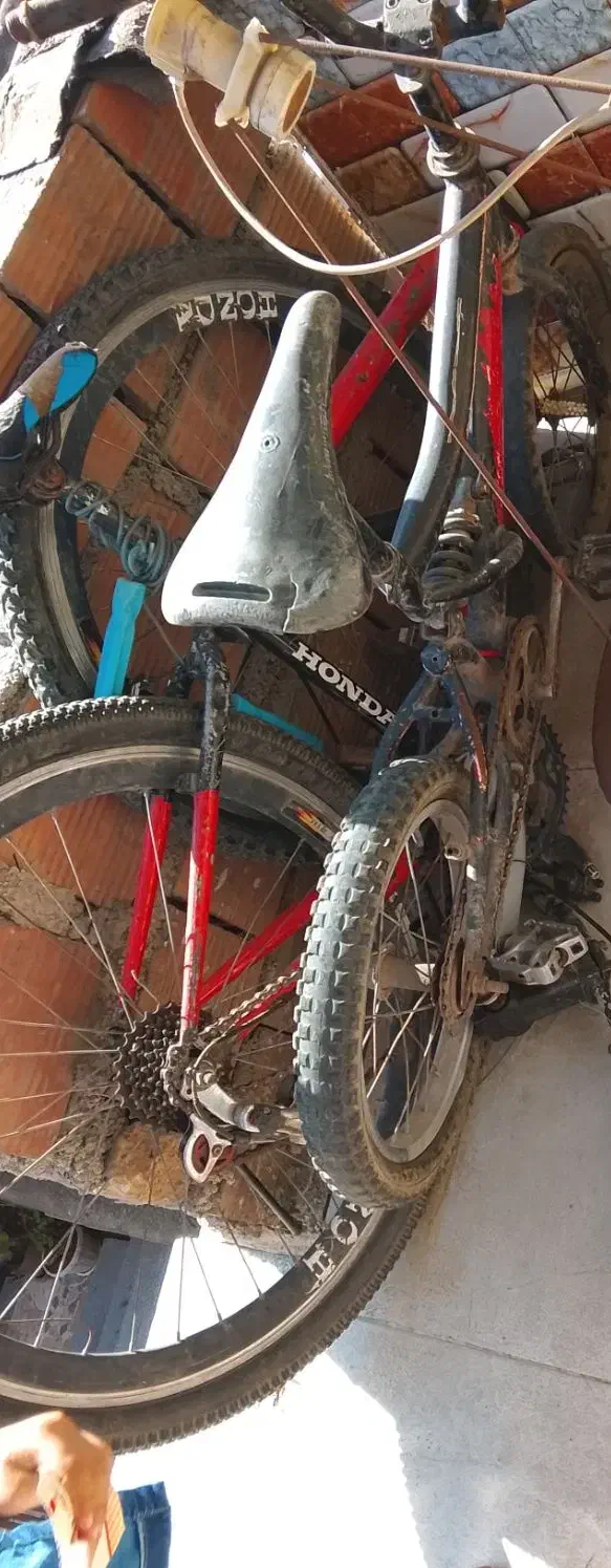 دو عدد دوچرخه درحدد|دوچرخه، اسکیت، اسکوتر|خان ببین, |دیوار