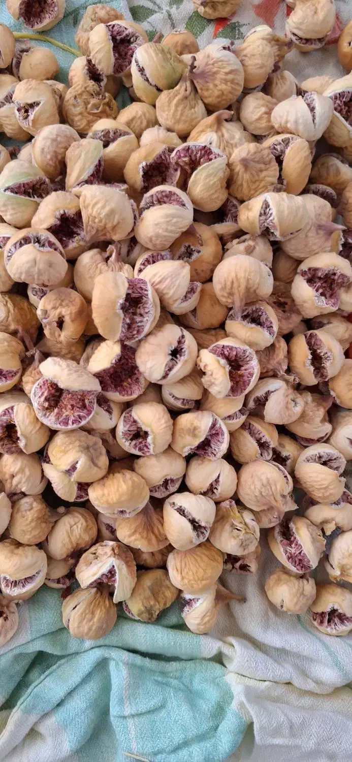 فروش انجیرتازه وارگانیک|خوردنی و آشامیدنی|شیراز, فرگاز|دیوار