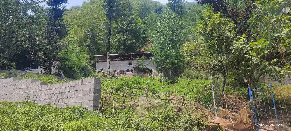 ۵۷۰متر با پروانه ساخت ۱۰۰ متری جنگلی ویو ابدی|فروش زمین و ملک کلنگی|گوراب زرمیخ, |دیوار