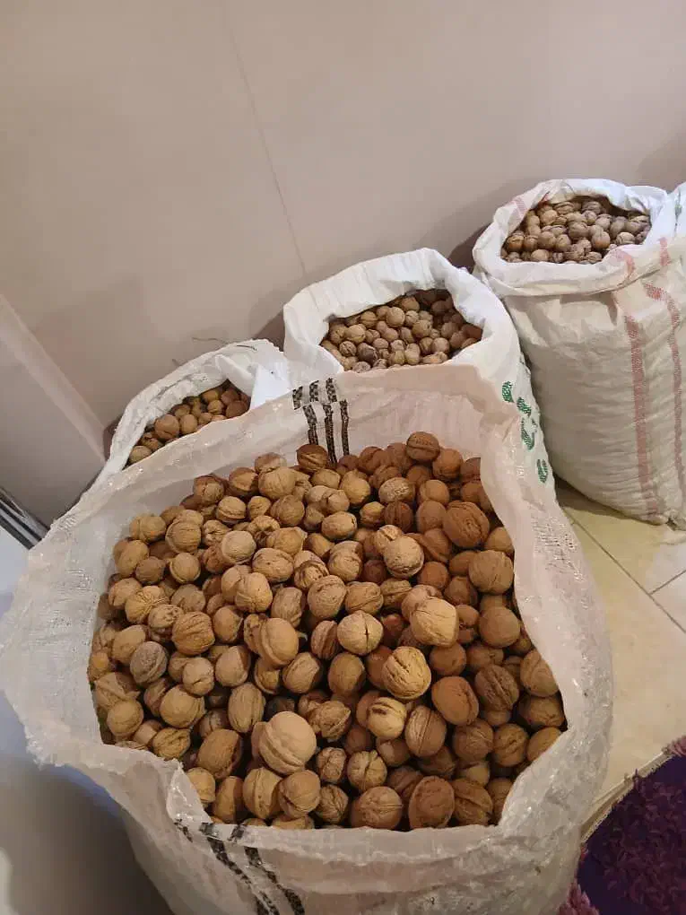 گردوی مرغوب تازه باغ خودمون|خوردنی و آشامیدنی|تهران, مسعودیه|دیوار