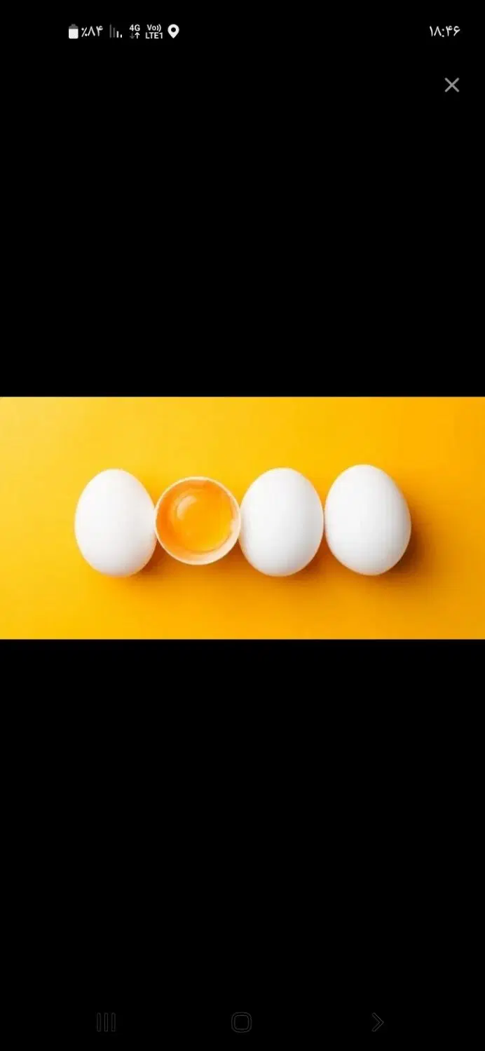 تخم مرغ|خوردنی و آشامیدنی|مشهد, یوسفیه (شهرک غرب)|دیوار