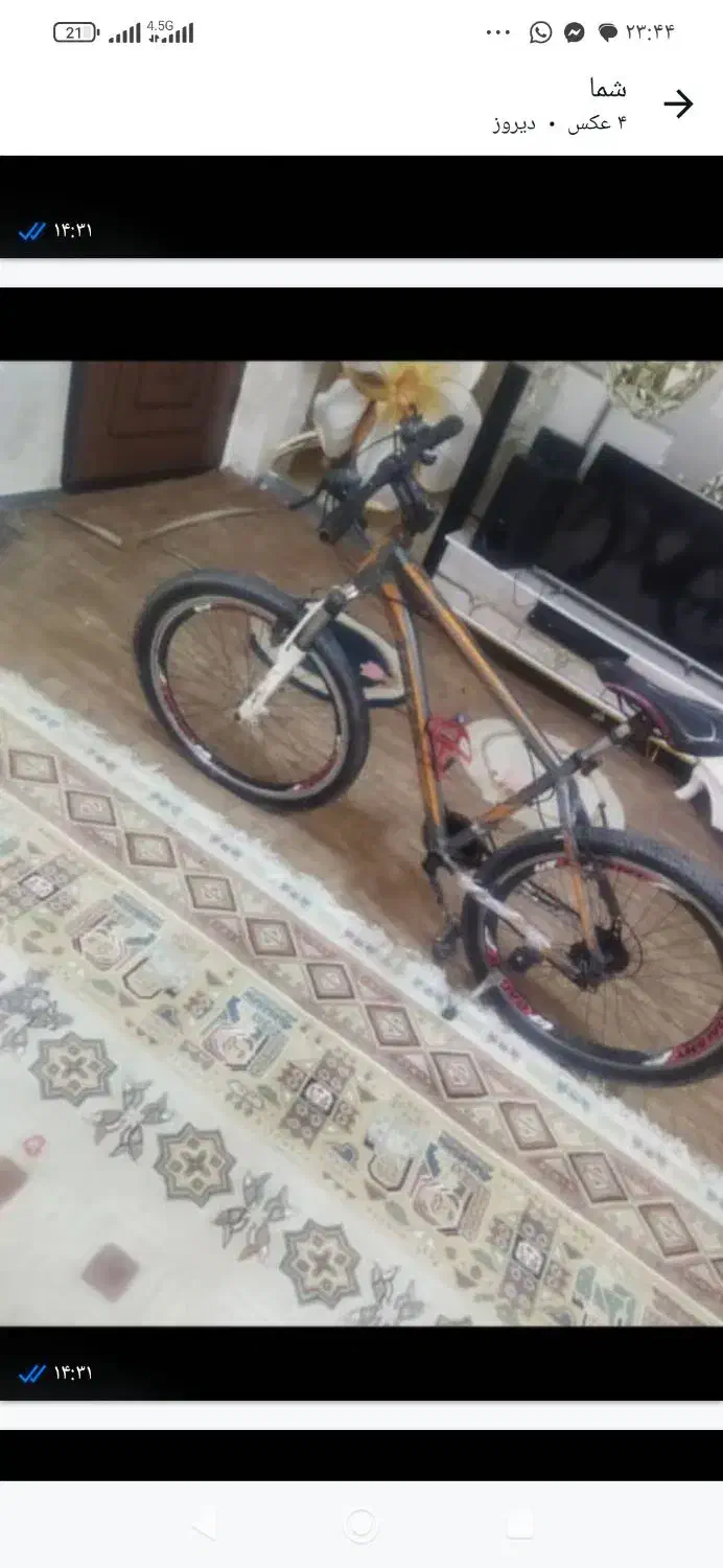 دوچرخه ۲۶|دوچرخه، اسکیت، اسکوتر|شوشتر, |دیوار