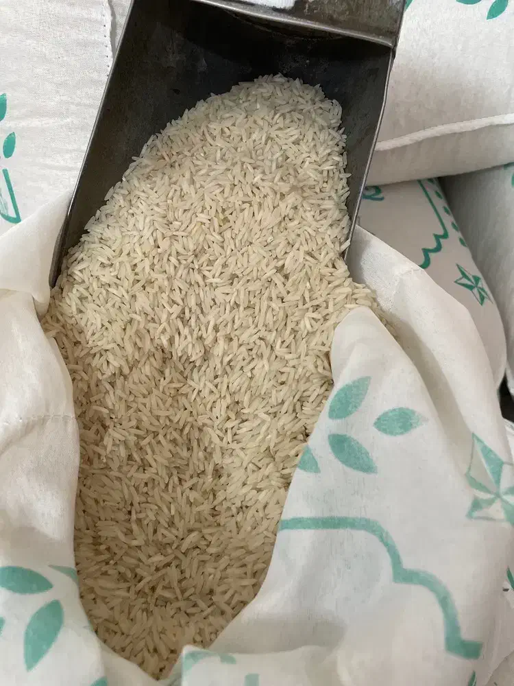 برنج هاشمی درجه یک|خوردنی و آشامیدنی|تاکستان, |دیوار