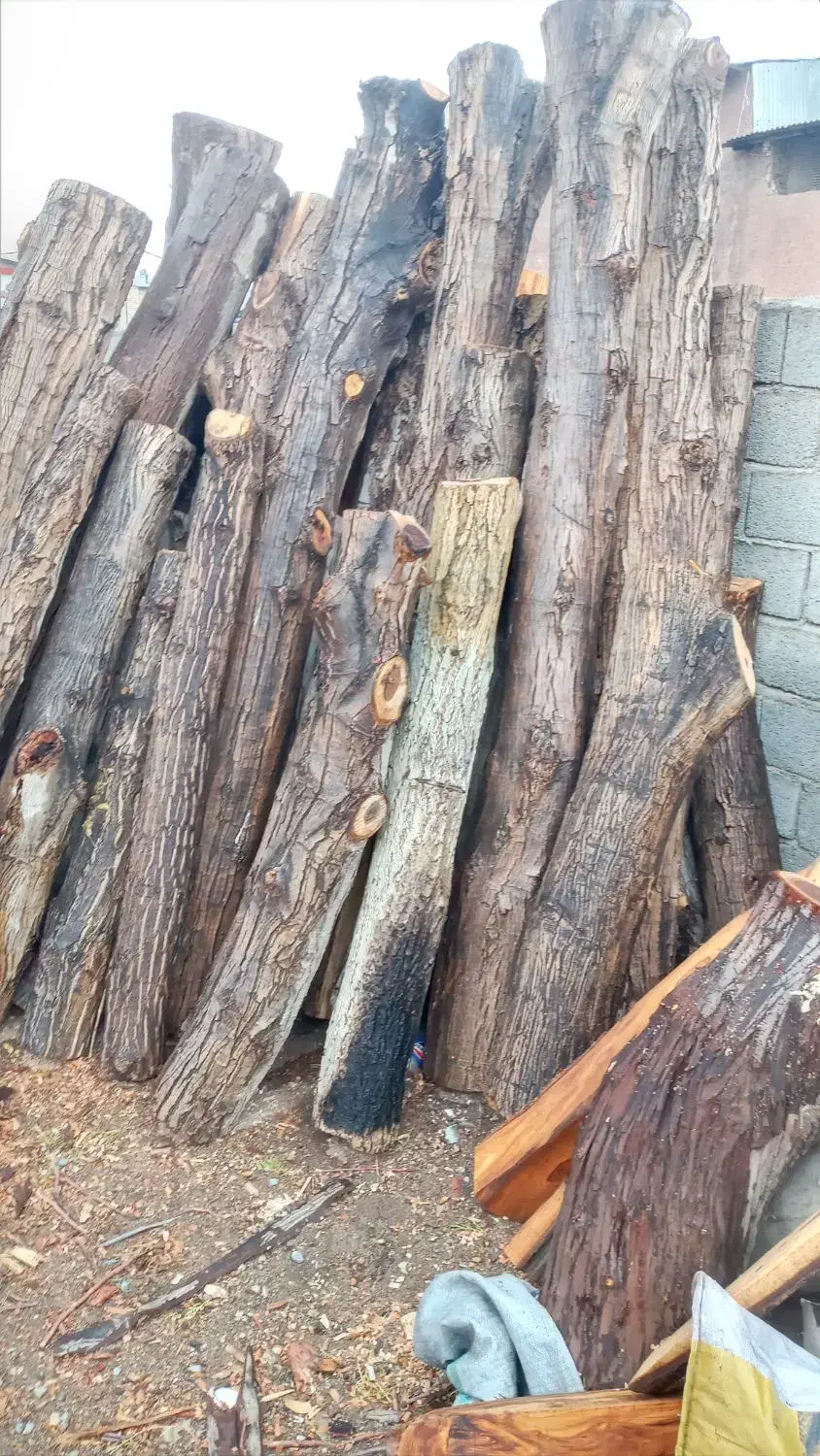 خرید چوب و هرس|خدمات باغبانی و درختکاری|چهارباغ, |دیوار